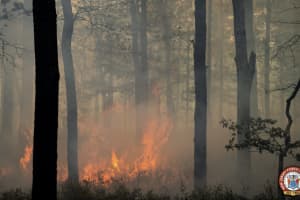 Wildfire Destroyed 98 Acres Of Wharton State Forest, 100 Percent Contained