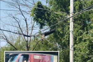 Witnesses Sought After Lehigh Valley Hit-And-Run Crash Takes Down Wires, Closes Road (PHOTOS)