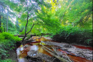 Environmentalists Seeing Red After Dye Dumped Into Waterway Taints South Jersey Creek