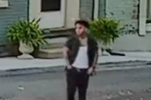 ID Sought For Suspect In Lehigh Valley Vandalism Spree (PHOTOS)