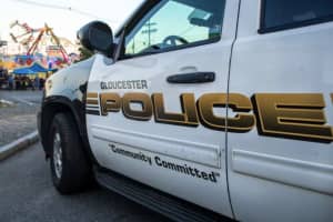 3-Month-Old Puppy Killed In Gloucester Crash, Police Looking For Driver