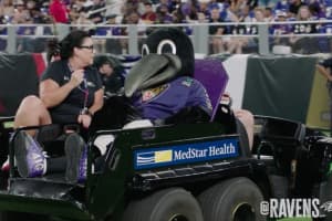 Baltimore Ravens Mascot 'Poe' Injures Drumstick, Out For The Season
