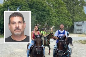 NJ Hit-Run Driver Hid Car In Woods After Crash That Killed Horse, Hurt Teen: Police