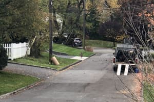'Be Aware Of Your Surroundings': Multiple Coyote Sightings Reported In Westchester Municipality