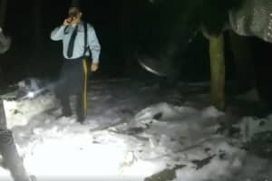 Watch NJSP Rescue Missing Man With Hypothermia From Stokes State Forest (VIDEO)