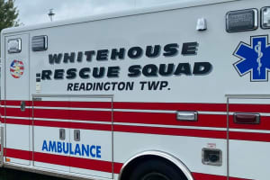 Man, 33, Dies After Tree-Cutting Accident In Hunterdon County
