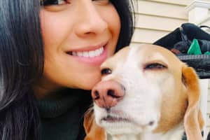 Kristine Violante Of Bergen County Spent Life Caring For Animals, 32