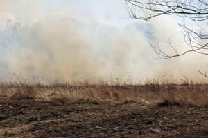 Large Hunterdon County Brush Fire: What We Know