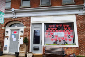 Rahway Dog Training Center Ordered Shut After Videos Showing Disturbing Animal Abuse Surface