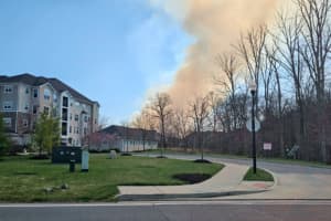 Eight-Alarm Fire Evacuates Dozens Of Homes Near Baltimore County Park (DEVELOPING)