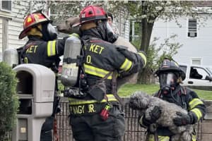 Dogs Woke Fire Victim But Home Destroyed In Central Jersey
