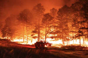 Wildfire Rips Through 300 Acres Of Wharton State Forest (UPDATED)