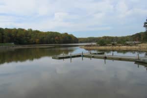 Sewage Spill Spoils Plans For Those Planning On Trip To Lake Accotink