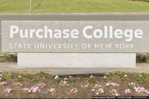 Protesters Arrested At SUNY Purchase Won't Be Disciplined
