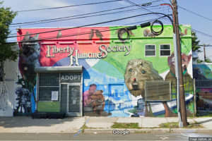 Jersey City Terminates Contract With Liberty Humane Society Citing Performance Concerns