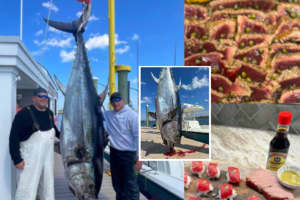 718-Pound Bluefin Reeled In By Hillsborough Fishermen Feeds Families For Free