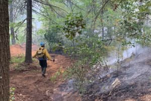 Wildfire In Connecticut State Park Contained