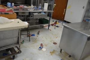 Elementary School Trashed - Vandals, Still At-Large