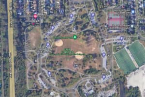 3 Swastikas Found At Seaford Park, Police Say