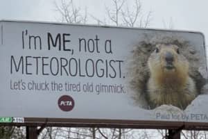 PETA Calls For Punxsutawney Phil's Retirement, Offering Suggestions For His Replacement