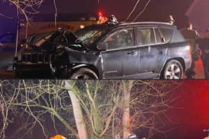 No MedEvac Available In Chambersburg When Person Crashed Into Tree, FD Says