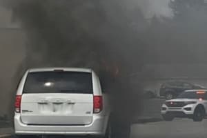 Four Dogs In Van On Fire Driven To Fire Station In New Cumberland, Police Say