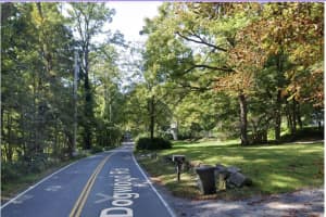 61-Year-Old Man Dies After Hitting 'Roadkill,' Crashing In Northern Westchester