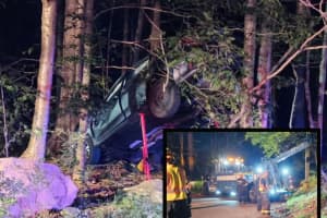 Car Lands ‘Up In The Air On A Tree’ After Veering Into Morris County Woods: PHOTOS