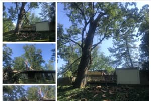 200-Year-Old Tree Brach Crashes Through Montgomery County Home (PHOTOS)