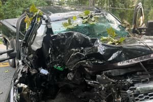 Driver Hurt As Truck Strikes Tree In Hunterdon County