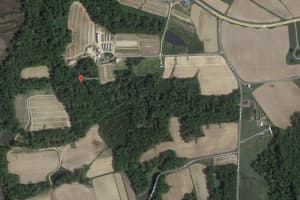 Pilot Forced To Make Emergency Landing In St. Mary's County Cornfield, State Police Say