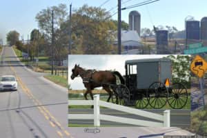 Amish Horse-Buggy Crash Hospitalizes 9 People In Lancaster Co.(DEVELOPING)