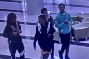 Seen 'Em? Teens Punch Employees At East Garden City Mall, Police Say