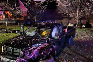 Pickup Slams Tree, 2 Hospitalized In Sussex County Christmas Crash