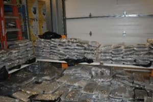 750 Pounds Of Marijuana Worth $1.5M Found In Randolph Sting, Duo Busted: Police