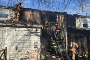 Support Swells For Grandmother Who Lost Everything In Two-Alarm Maryland Townhouse Fire