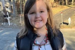 'Long Road Ahead': Fundraiser Created For Girl Critically Hurt In Head-On Foxboro Crash