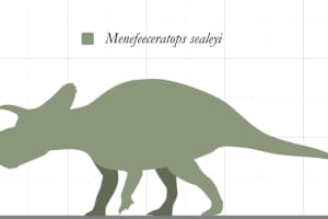 Pennsylvania Professor Helped Name New Dinosaur