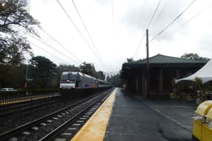 Man Fatally Struck By Train At Short Hills Station: NJ Transit