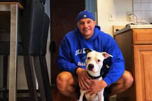 Ridgefield Police Officer Takes In Pit Bull Grieving Owner