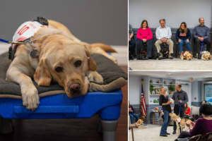 Guide Dog Graduation: Westchester County-Based Nonprofit Provides Pups To Homes Across The US