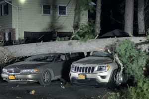 Severe Winds Topple Large Tree On Top Of Two Vehicles In Area