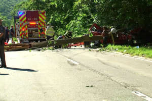 Update: Deli Owner From Orange County Killed In Crash Involving Tree