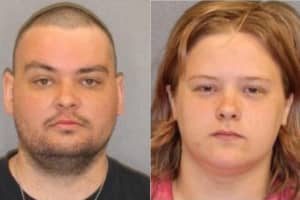Couple From Region Tied Dog To Tree In Woods, Abandoned Him, Police Say