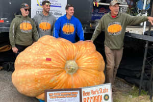 Good Gourd: NY Farmer Breaks Record For Heaviest Pumpkin In North America