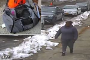 Watch: Woman Abandons Cat Next To Trash Cans In Albany