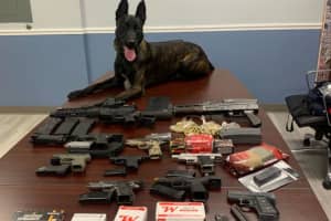 Good Doggy: K9 Uncovers Drugs, Nearly Dozen Guns During Traffic Stop In Region, Police Say