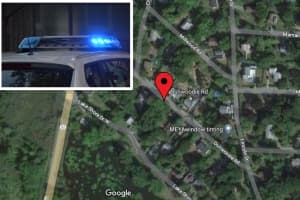 Dog Bite Leads To Assault: Man Charged In Hudson Valley Incident, Police Say