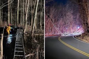 Driver Rescued After Hitting Pole, Landing In Swamp 40 Feet Away From Hudson Valley Road