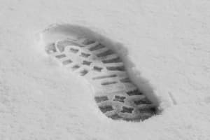 Footprints In Snow Lead Detectives To Area Burglar, Police Say